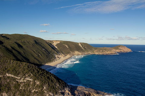 Albany Motel & Apartments - Accommodation Resorts 21