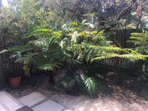 East On Byron - Accommodation Resorts 40