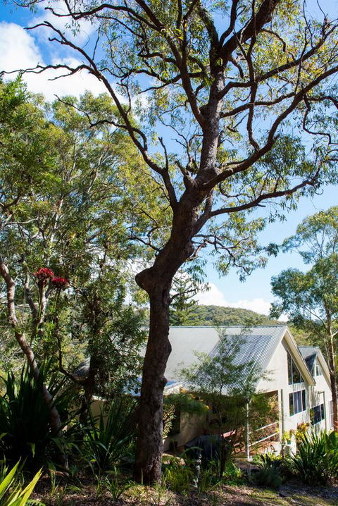 Nelson Bay Bed & Breakfast - Accommodation Resorts 42