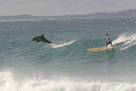 Crescent Head Spa Villa - Accommodation Resorts 22