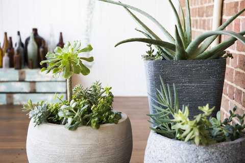 The Parkview Hotel Mudgee - Accommodation Resorts 35