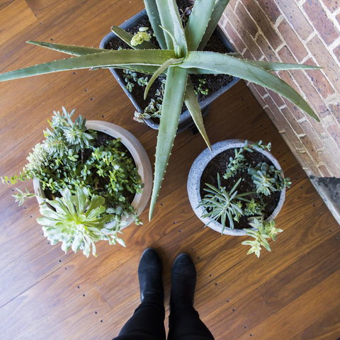 The Parkview Hotel Mudgee - Accommodation Resorts 33