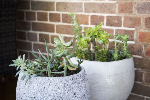 The Parkview Hotel Mudgee - Accommodation Resorts 34