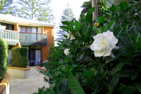 The Crest Byron Bay - Accommodation Resorts 29