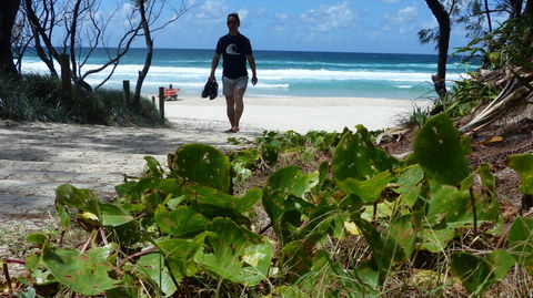 SaltBeach2302 - Accommodation Resorts 15