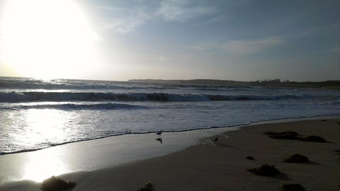 Sweet Spot Shellharbour - Accommodation Resorts 14