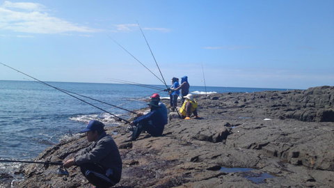 Sweet Spot Shellharbour - Accommodation Resorts 13