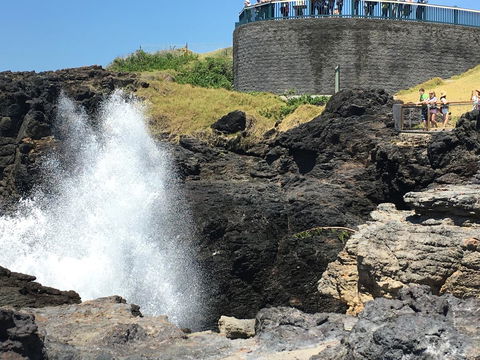 Sweet Spot Shellharbour - Accommodation Resorts 18