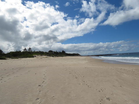 Sweet Spot Shellharbour - Accommodation Resorts 15