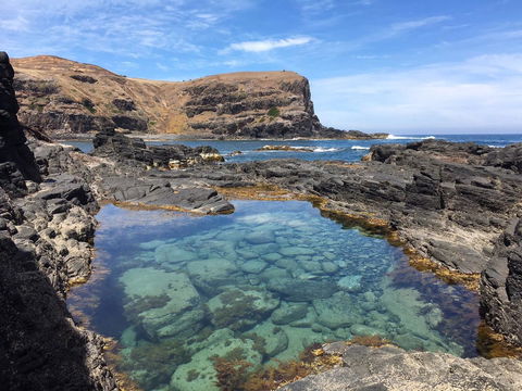 Sweet Spot Shellharbour - Accommodation Resorts 17