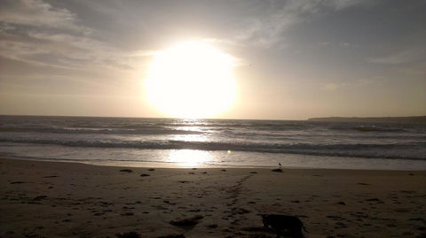 Sweet Spot Shellharbour - Accommodation Resorts 16