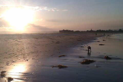 Sweet Spot Shellharbour - Accommodation Resorts 12