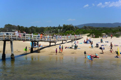 Bellhaven 2, 17 Willow Street - Accommodation Resorts 6