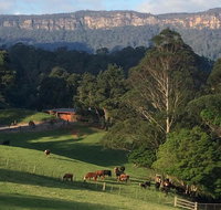 Amaroo Valley Springs - Accommodation Resorts