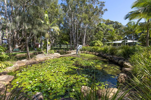 Flynns Beach Resort - Accommodation Resorts 8