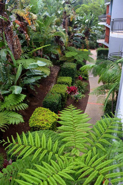 Flynns Beach Resort - Accommodation Resorts 17