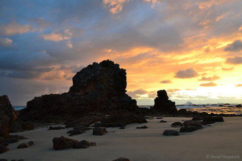 Flynns Beach Resort - Accommodation Resorts 19