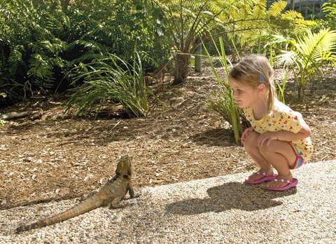 Flynns Beach Resort - Accommodation Resorts 16