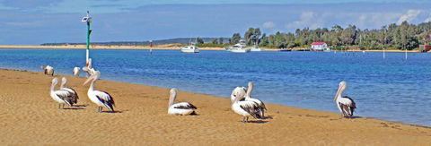 Pelican Motor Inn - Accommodation Resorts 29