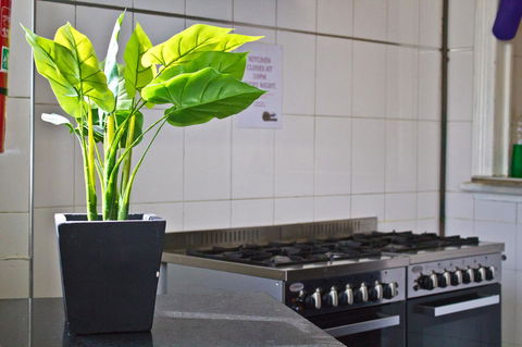 Mad Monkey Kings Cross - Accommodation Resorts 19