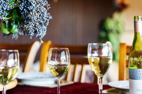 Coal D\' Vine VIEW - Cessnock NSW - Accommodation Resorts 37