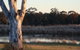Adina Vineyard - thumb 10