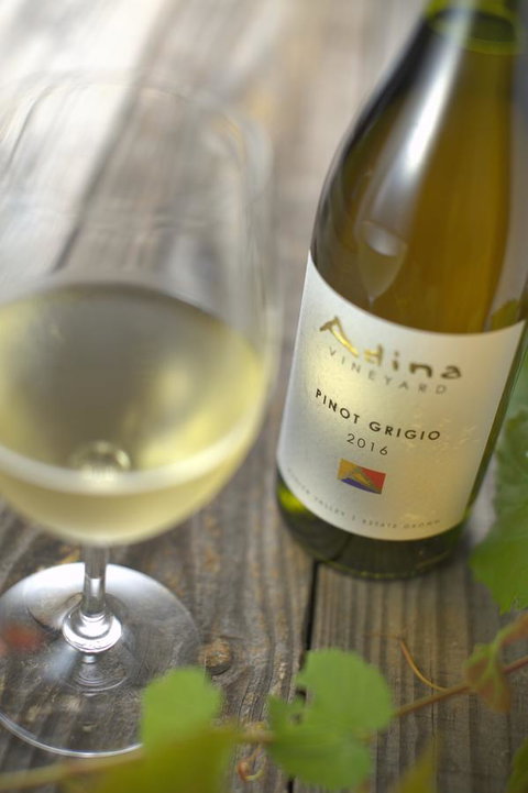 Adina Vineyard - Accommodation Resorts 7