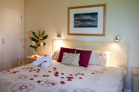 Adina Vineyard - Accommodation Resorts 1
