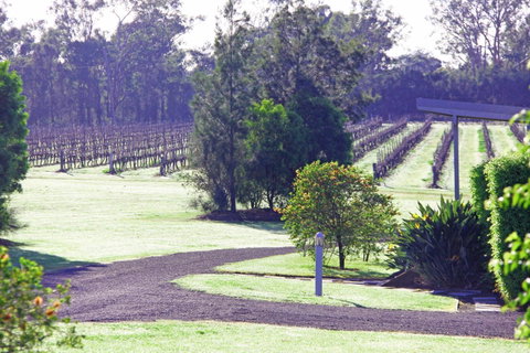 Adina Vineyard - Accommodation Resorts 14