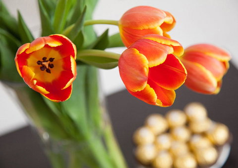 Wine Country Motor Inn - Accommodation Resorts 10