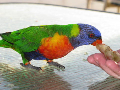 Baywatch Apartments Merimbula - Accommodation Resorts 22