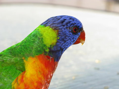 Baywatch Apartments Merimbula - Accommodation Resorts 23