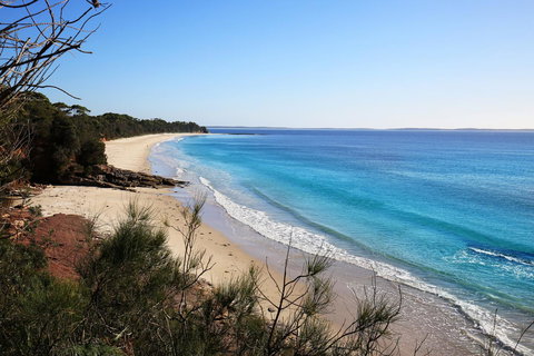 Seaglass - Stunning Views Of Jervis Bay - Accommodation Resorts 37