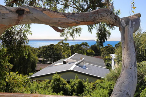 Seaglass - Stunning Views Of Jervis Bay - Accommodation Resorts 26