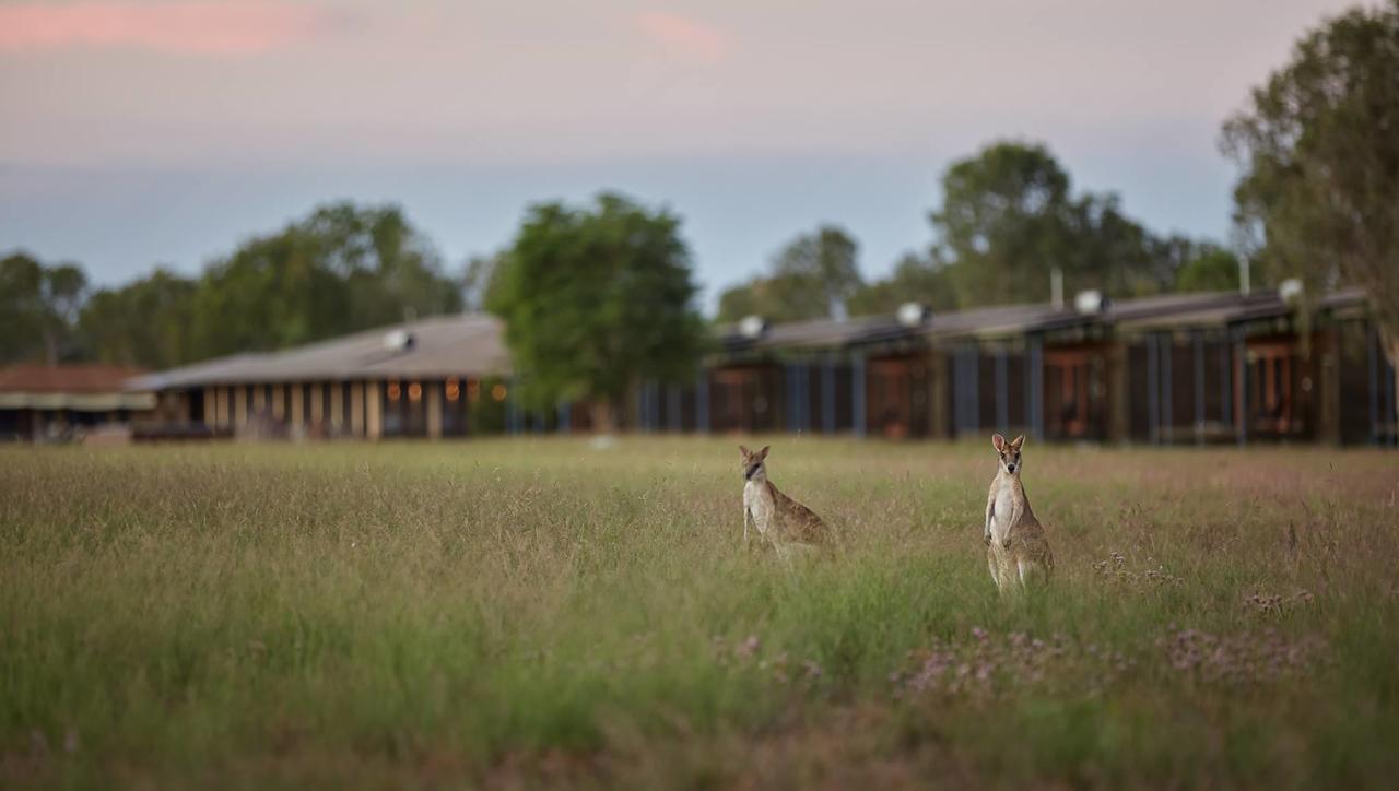 Woolaning NT Accommodation Resorts