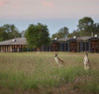Wildman Wilderness Lodge - Accommodation Resorts
