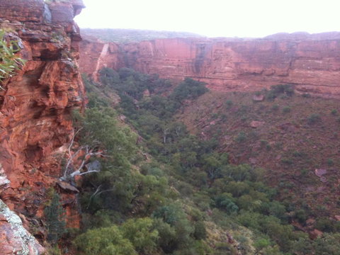 Discovery Resorts - Kings Canyon - Accommodation Resorts 34