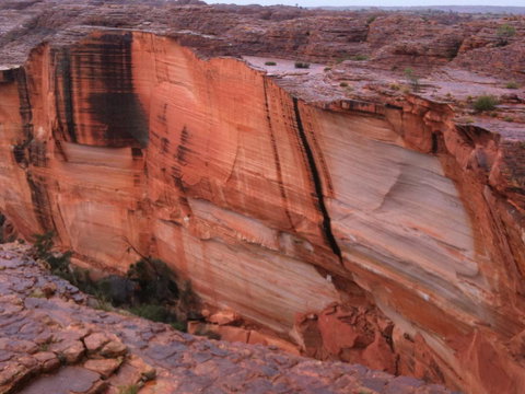 Discovery Resorts - Kings Canyon - Accommodation Resorts 36