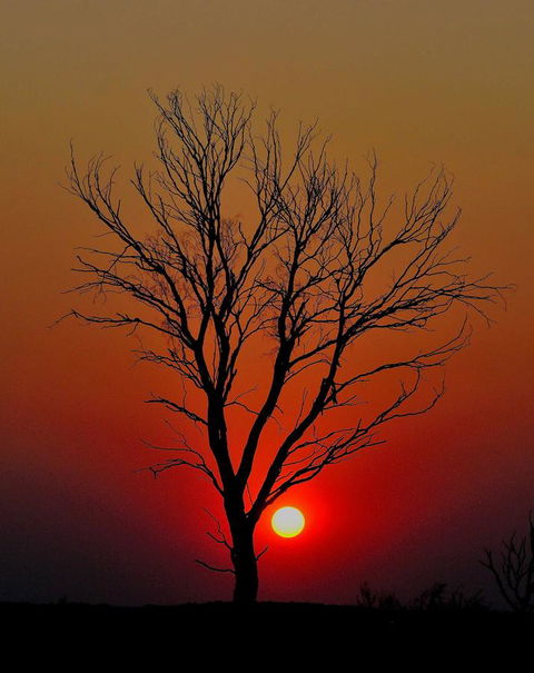 Discovery Resorts - Kings Canyon - Accommodation Resorts 43