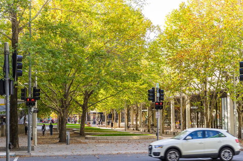 Highgate Executive Apartment City Walk Canberra - Accommodation Resorts 37