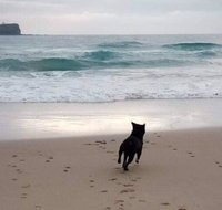 Breakers at Mudjimba Beach - Accommodation Resorts