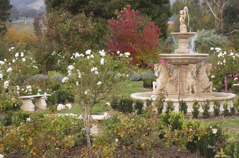 Brookfield Guest House - Accommodation Resorts 1