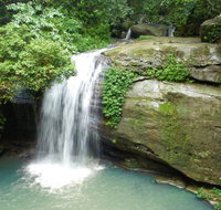 Buderim Forest Hideaway - Accommodation Resorts