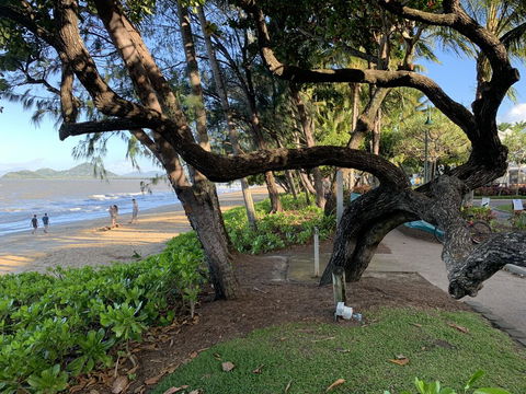 Cairns Palm Cove Studio - Accommodation Resorts 3