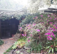 Charming country house close to Grafton - Accommodation Resorts