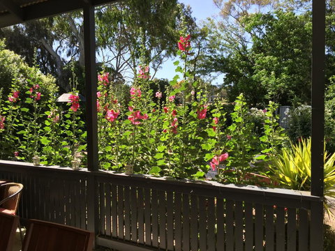 Clarevale Cottage B&B - Accommodation Resorts 1