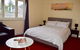 Comfortable Apartment In Trendy Haberfield - thumb 3