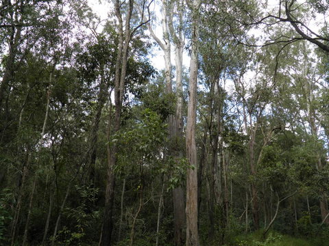 Coucals Cottage - Accommodation Resorts 3