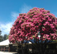 Crossways Country Inn - Accommodation Resorts