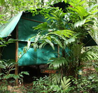 Daintree Crocodylus - Accommodation Resorts